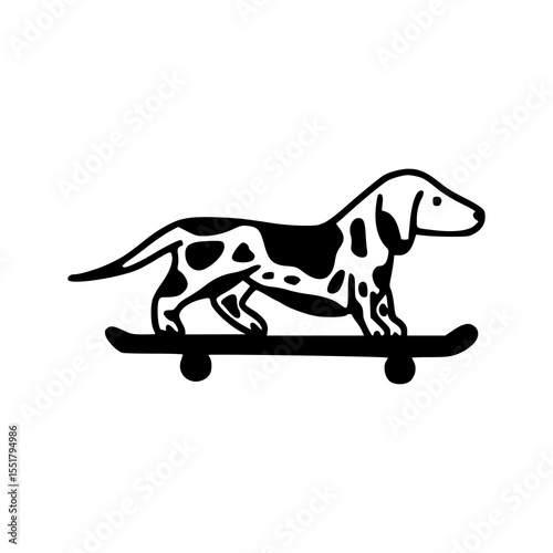 funny dog playing skateboard