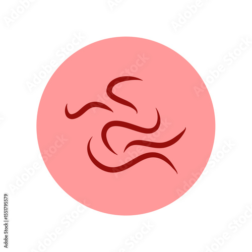 Pinworm parasite vector icon