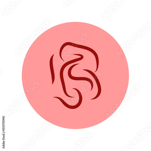 Pinworm parasite vector icon