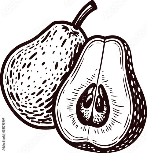 Hand drawn ripe pear and pear half with seeds vintage fruit illustration, detailed black and white sketch