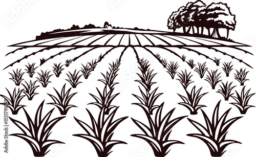 Hand drawn illustration of agave field with distant hills and trees in monochrome vintage