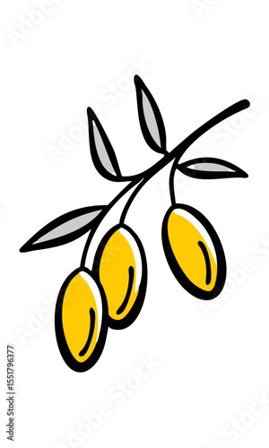 Vector illustration of three yellow olives on a branch with leaves in hand-drawn style on a transparent background