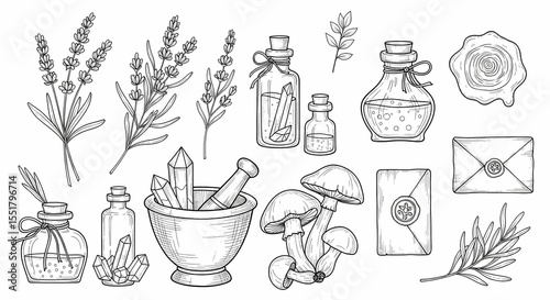 Set of hand drawn whimsical illustrations of herbs and potion bottles. Doodle drawings of lavender sprigs, crystal vials, mortar & pestles, mushrooms, and wax-sealed letters. 