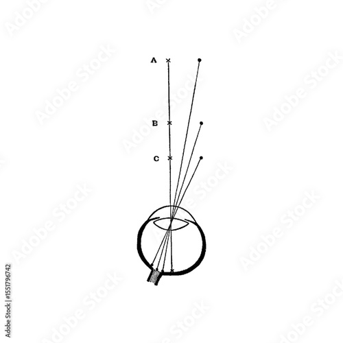 Circle Geometry Diagram – Labeled Illustration Showing Central Angles Formed by Radii A, B, and C Extending from the Center to the Circumference
