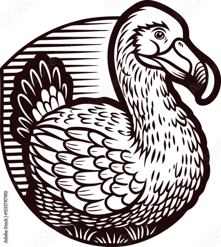 Vintage engraved illustration of a dodo bird in profile with detailed feathers and linework emblem