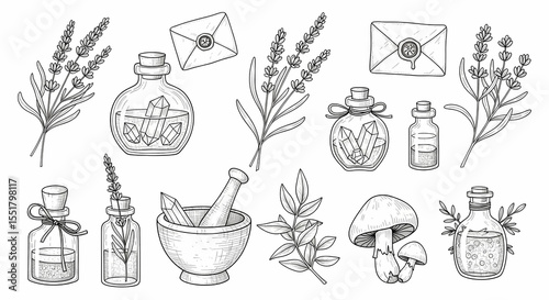 Set of hand drawn whimsical illustrations of herbs and potion bottles. Doodle drawings of lavender sprigs, crystal vials, mortar & pestles, mushrooms, and wax-sealed letters. 