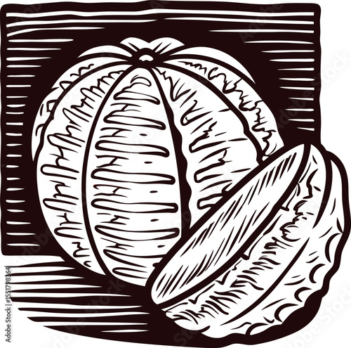 Hand drawn vintage melon illustration with slice engraved botanical fruit sketch design isolated on white background