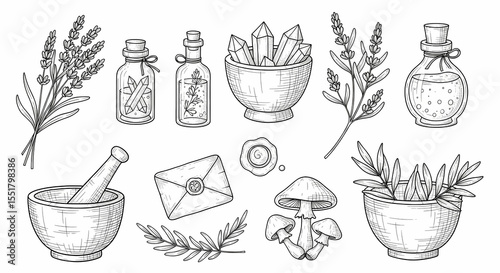 Set of hand drawn whimsical illustrations of herbs and potion bottles. Doodle drawings of lavender sprigs, crystal vials, mortar & pestles, mushrooms, and wax-sealed letters. 