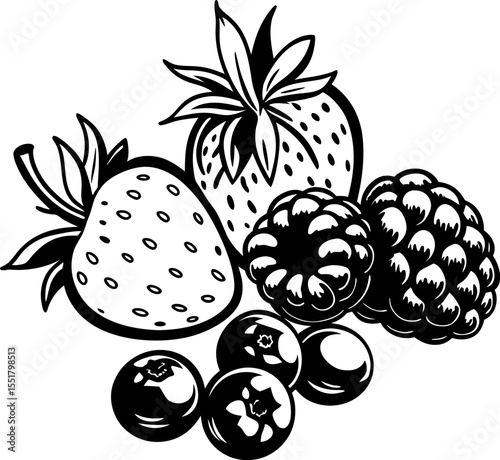 Hand drawn illustration of strawberries raspberries and blueberries in vintage engraved
