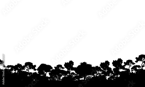 Landscape trees silhouette isolated on white background. evergreen background concept.