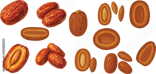 Watercolor Dried Date Fruit Illustration Hand-Painted Organic Sweet Snack in Rustic Botanical Style | Generative AI