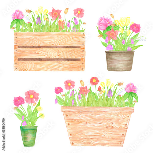 Hand drawn watercolor wildflowers and leaves in pots and boxes isolated on white background. Can be used for postcard, label, scrapbook and other printed products.