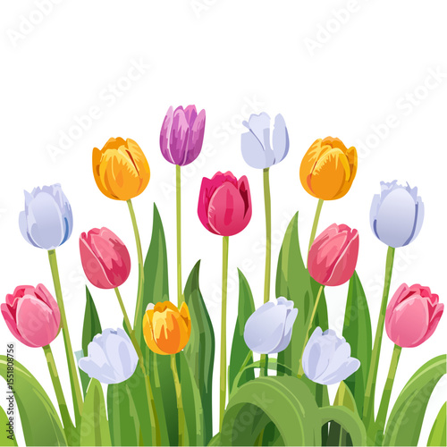 Colorful Tulip Garden Illustration - Spring Flowers Arrangement