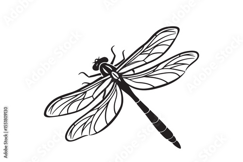 Dragonfly Silhouette Vector – Detailed Insect with Delicate Veined Wings