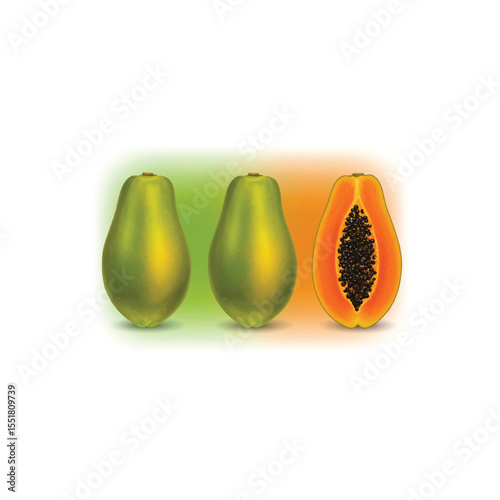 Vector watercolor illustrated papaya, Papaya illustration vector design, Papaya with papaya slice in white background vector design, Set of colored papaya, isolated on transparent background. Pawpaw, 
