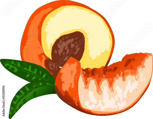Sliced peach displayed with natural foliage, emphasizing vibrant textures and freshness suitable for seasonal, nutrition, or gourmet visuals