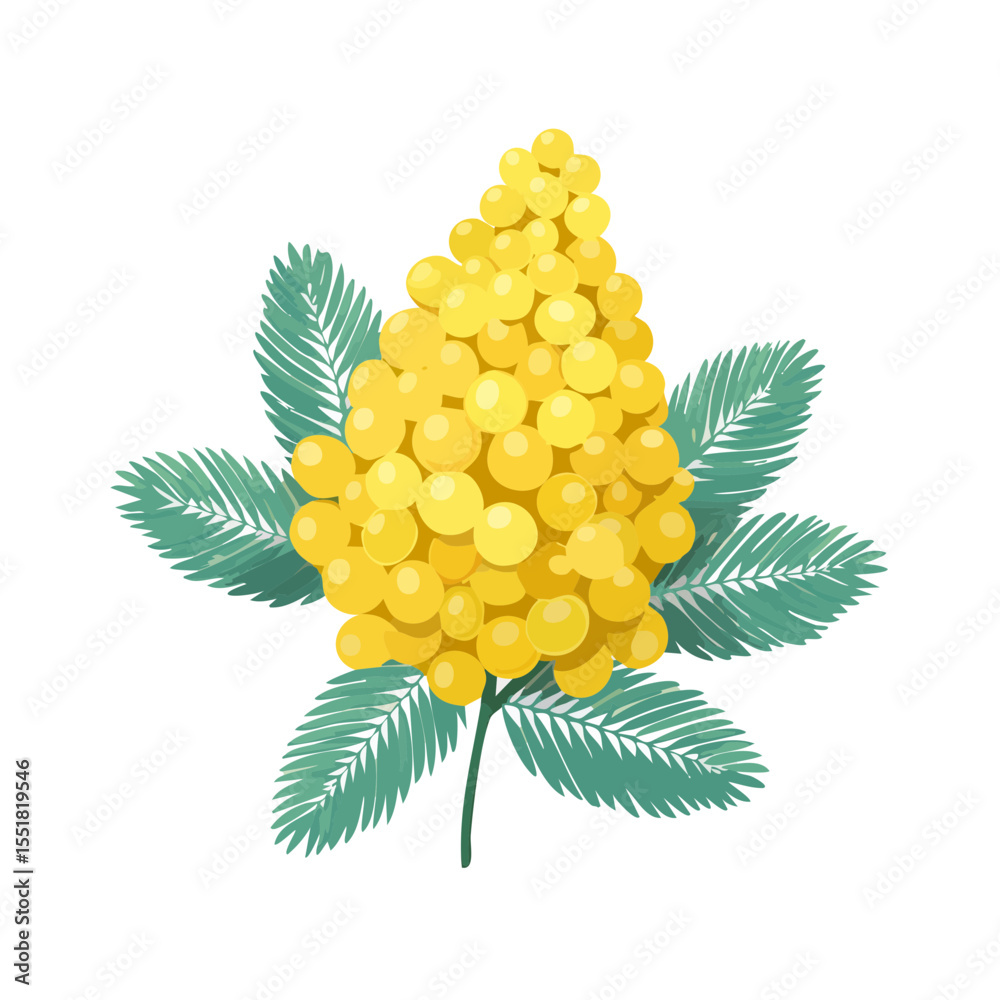 Golden Shower Tree Flowers Blooming Illustration