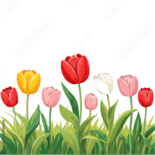 Colorful Tulip Flower Bed with Black Background Vector Illustration