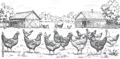 Rustic Chicken Farm Scene Hand-Drawn Illustration