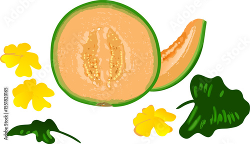 Sliced cantaloupe melon with visible juicy flesh, surrounded by delicate flowers and lush leaves—ideal for culinary, botanical, or summer-themed visuals
