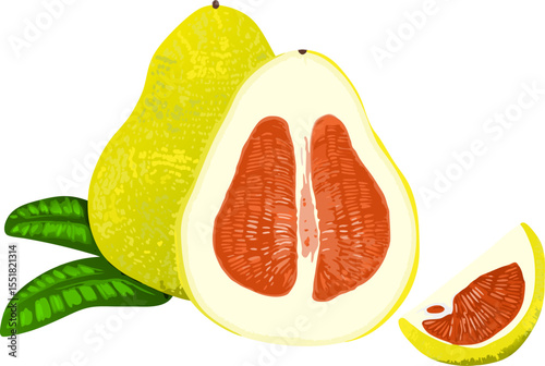 Halved pomelo displayed with green leaves. Ideal for food, health, or botanical-themed visual content