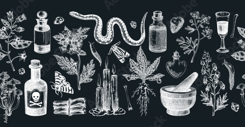 Witchcraft hand drawn vector illustration. Bohemian seamless ribbon. Halloween background. Witch herbs, poisonous plants, and magic ingredients sketches. NOT AI generated