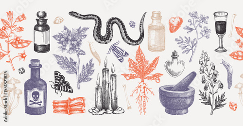 Witchcraft hand drawn vector illustration. Bohemian seamless ribbon. Halloween background. Witch herbs, poisonous plants, and magic ingredients sketches. NOT AI generated