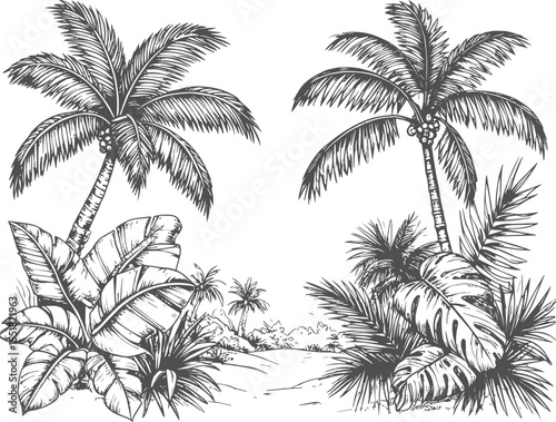 Hand-Drawn Beach Jungle Illustration