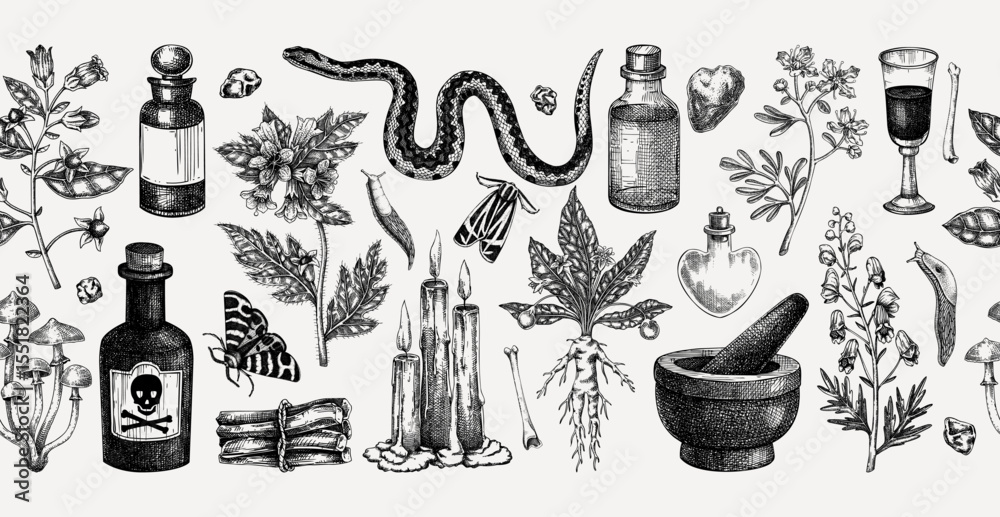 Witchcraft hand drawn vector illustration. Bohemian seamless ribbon. Halloween background. Witch herbs, poisonous plants, and magic ingredients sketches. NOT AI generated