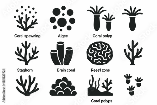 Illustrated icons of coral species and ocean elements in black and white
