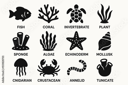 Ocean life icons: fish, coral, invertebrate, plant, algae, mollusk, crustacean