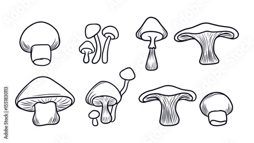 Collection of Various Hand-Drawn Mushroom Illustrations in Outline Style for Nature Designs