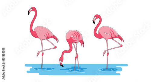 Three Pink Flamingos Standing on One Leg in Shallow Water