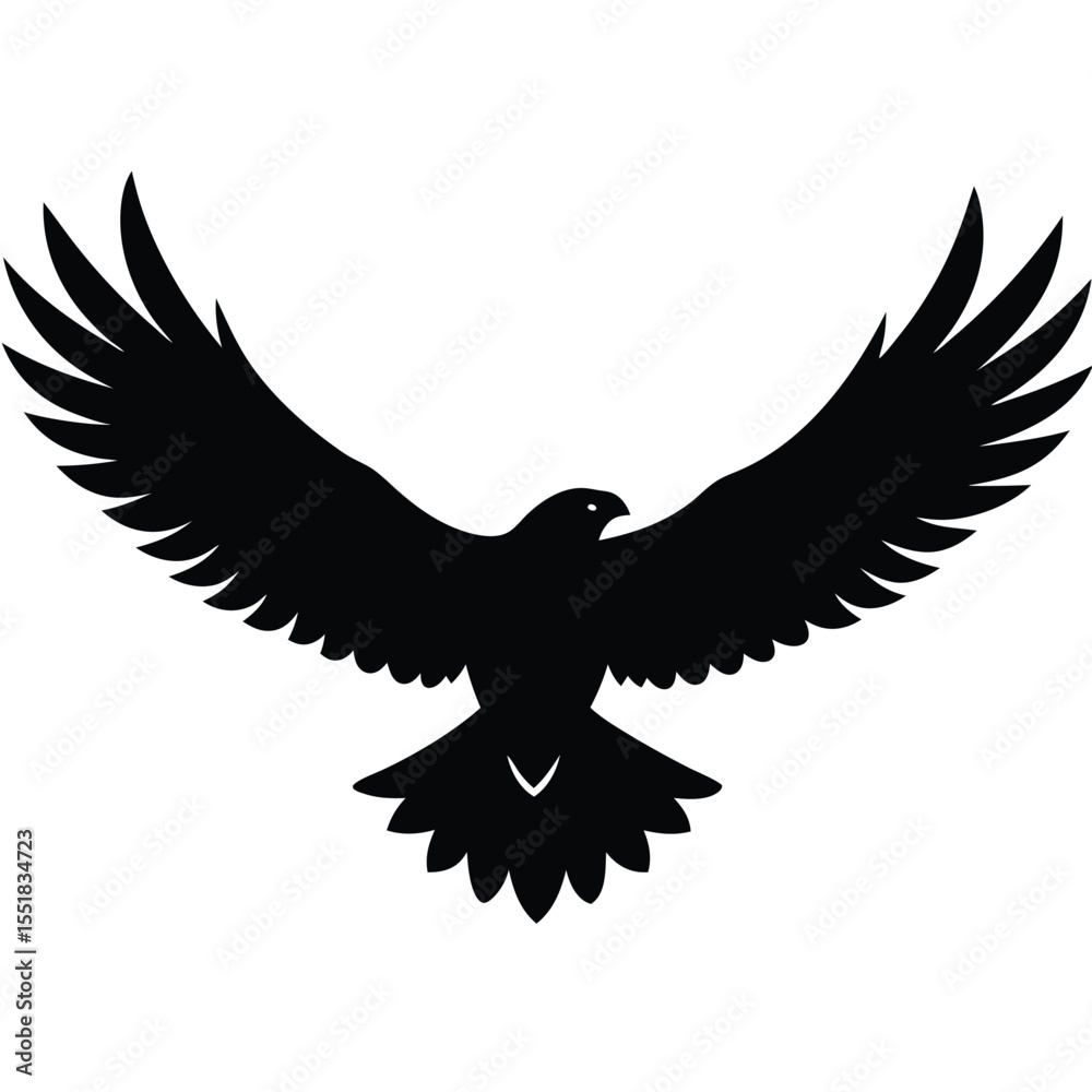 Obraz premium Silhouette of a bird with its wings spread wide open in flight