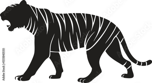 Silhouette of a powerful black tiger walking and roaring with its mouth open