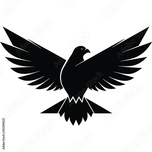Illustration of a black bird with wings spread on white background silhouette