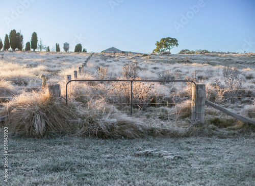 A frozen field, a gate and a winter scene