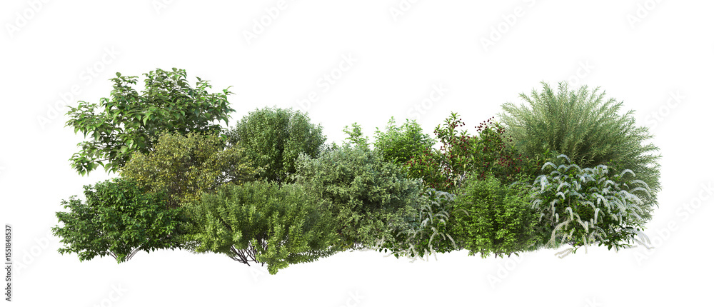 Fototapeta premium 3D render of flowering shrubs on a transparent background