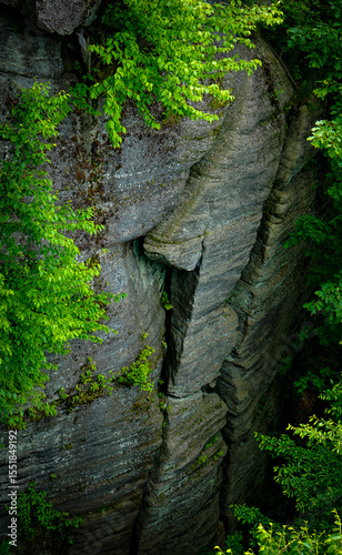 Rock formation in the Allegheny National Forest photo