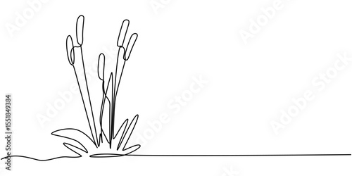 Cattail wetland plant outline, continuous one line drawing, Cattail Silhouette Vector Illustration Wetland Plant Nature Graphic Design, silhouette with cattails, vector illustration.