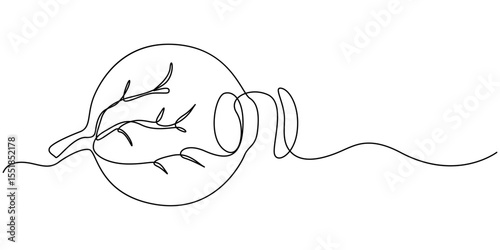 human eye anatomy showing sclera continuous one line drawing, Human eye anatomy, computer artwork, Human eye anatomy, computer artwork.