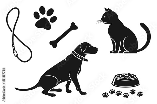 black cat and dog