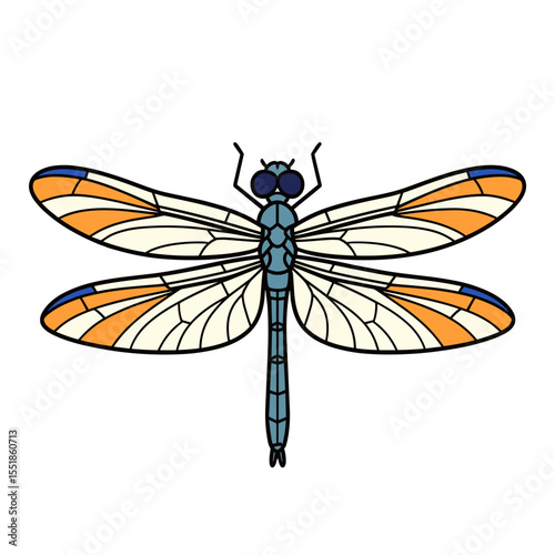 Detailed Vector Illustration of a Blue and Orange Dragonfly with Intricate Wing Patterns on White Background