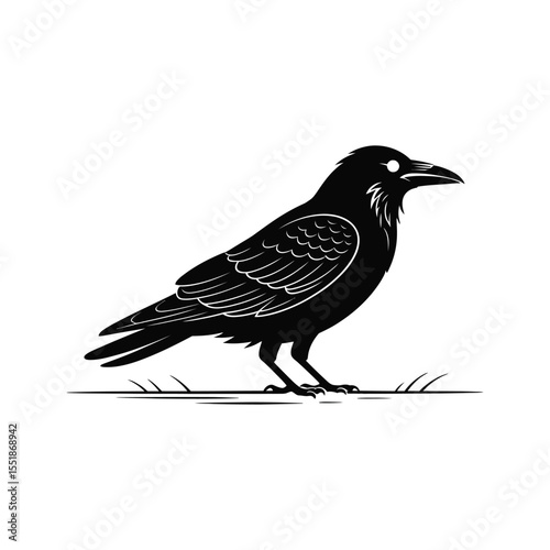 crow on a branch