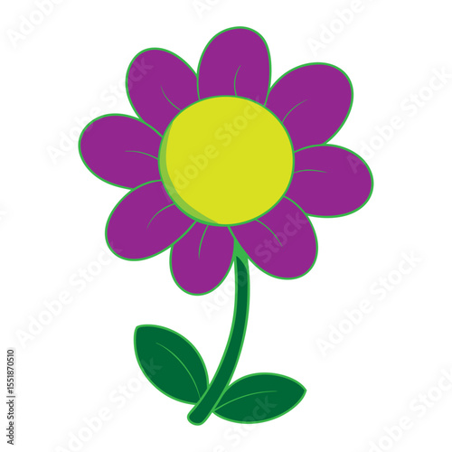 colorful flower isolated on white