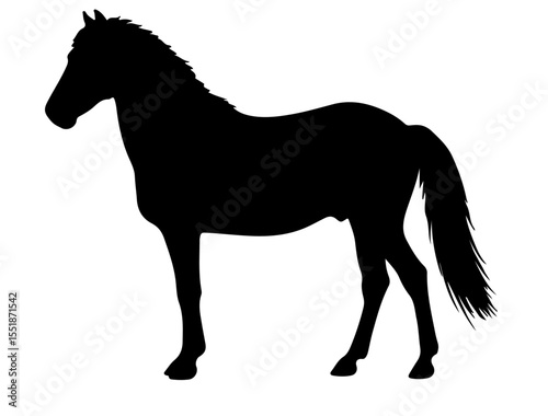Batak Pony Horse in silhouette pure white background.