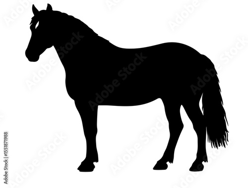 Forest Horse in silhouette pure white background.
