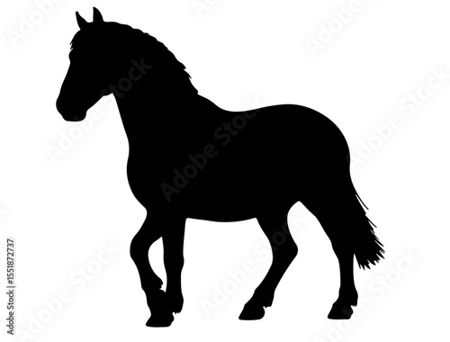 Carrossier Cotentin horse in silhouette pure white background. 
