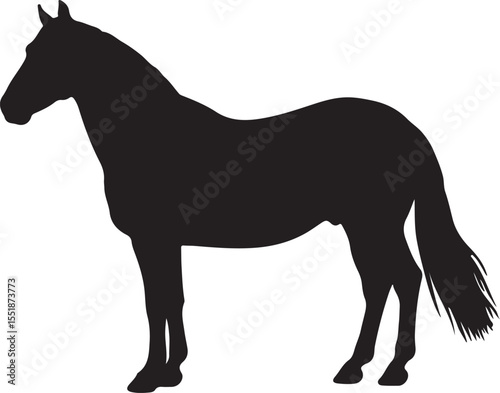 Danube Delta horse in silhouette pure white background. 