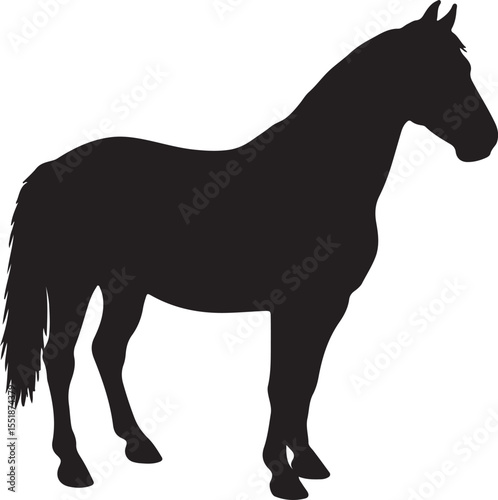 Datong horse in silhouette pure white background.